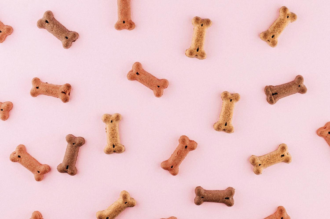 5 Easy Homemade Dog Treat Recipes
