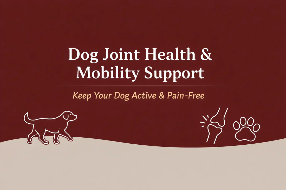 Dog Joint Health & Mobility Support