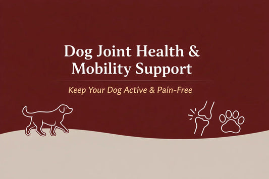 Dog Joint Health & Mobility Support