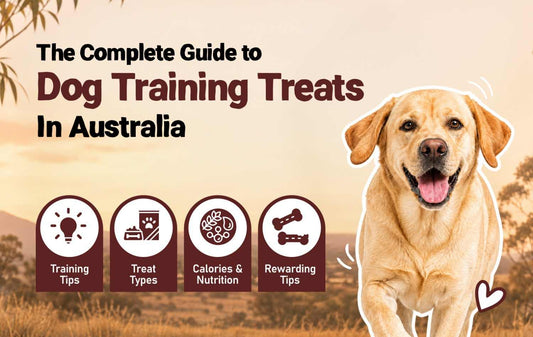 The Complete Guide to Dog Training Treats in Australia