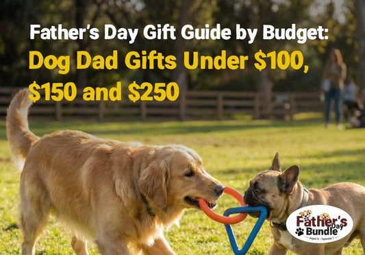 Father's Day Dog Gifts by Budget: $100 to $250