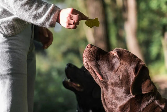 High-Value Treats