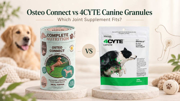 Osteo Connect vs 4CYTE Canine Granules: Which Joint Supplement Fits?