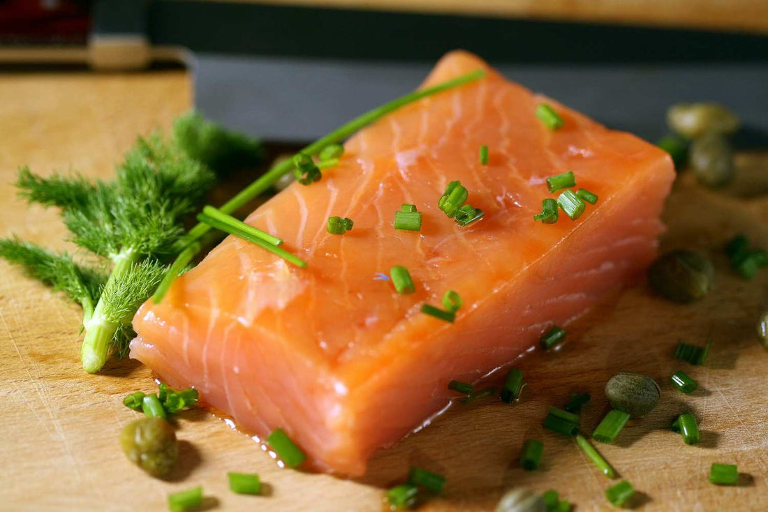 Salmon Dog Food Recipe: Omega-3 Rich Meals for Skin & Coat