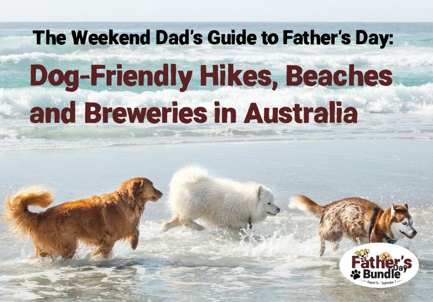 The Weekend Dad's Guide to Dog-Friendly Days Out