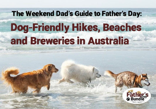 The Weekend Dad's Guide to Dog-Friendly Days Out