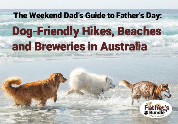 The Weekend Dad's Guide to Dog-Friendly Days Out