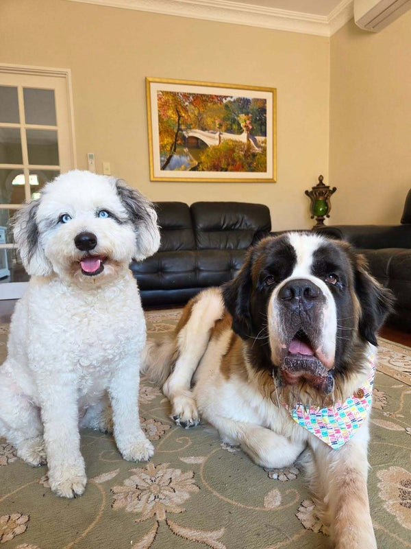 Bonnie and Koda Mum