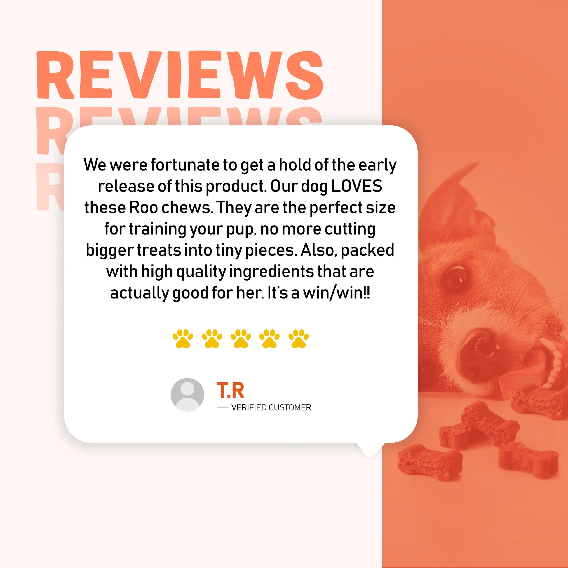 Dog product review with a dog and treats on an orange background