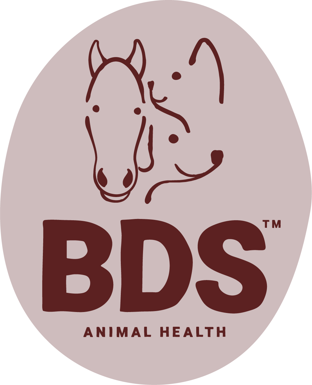 BDS Animal Health