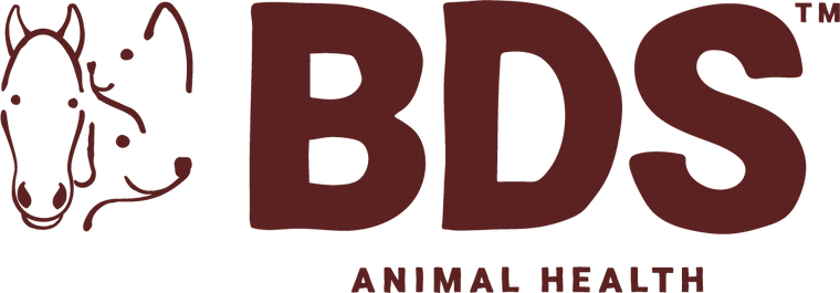 BDS Animal Health