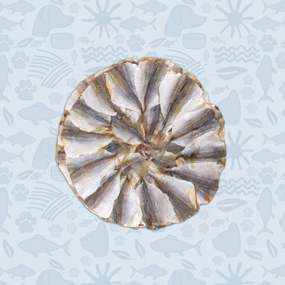 Pet Pizza - Natural Treat for Dogs & Cats