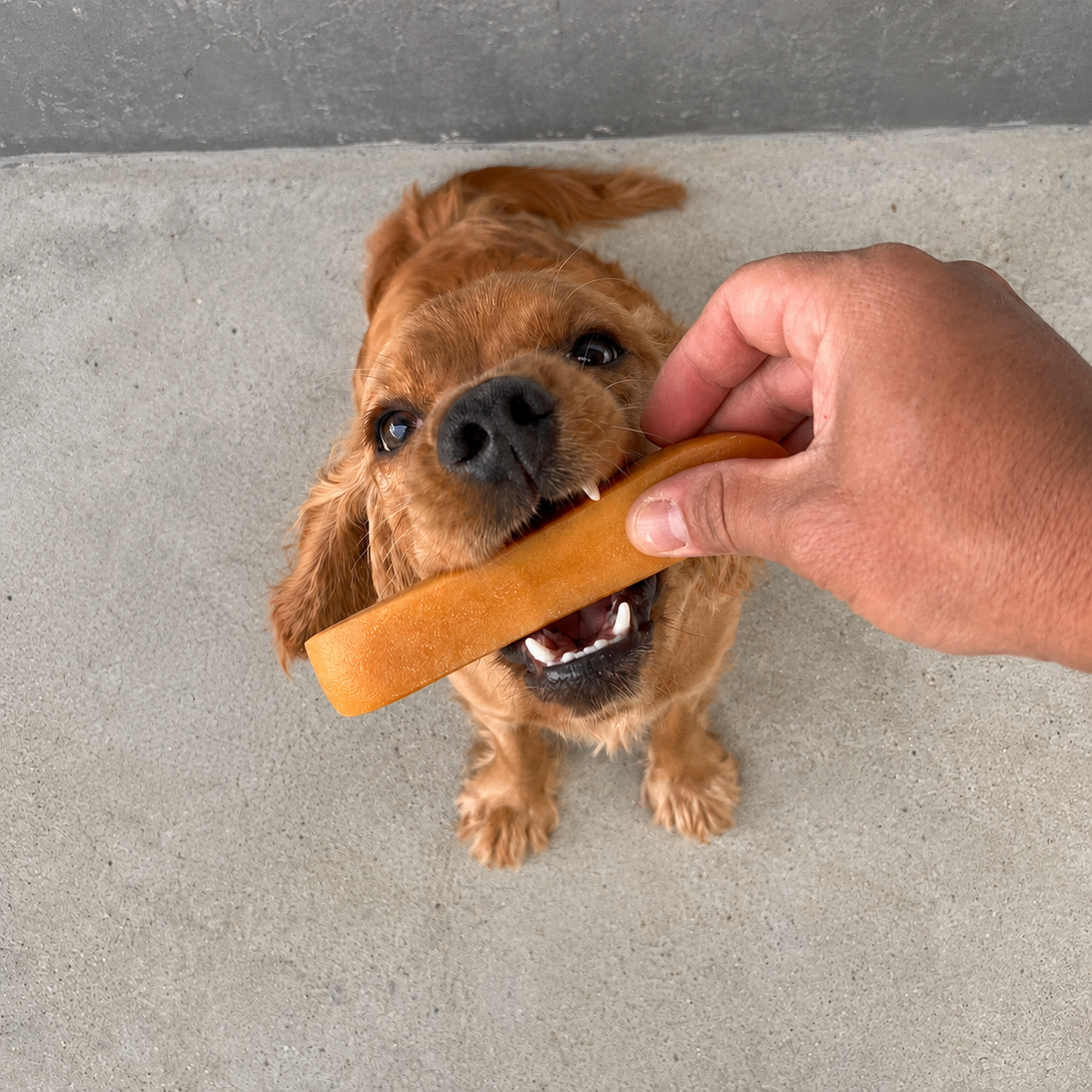 Yakmanchew - Himalayan Cheese Dog Chew