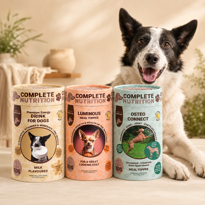 Complete Wellness Bundle