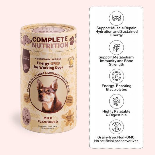 Energy +Plus for Working Dog