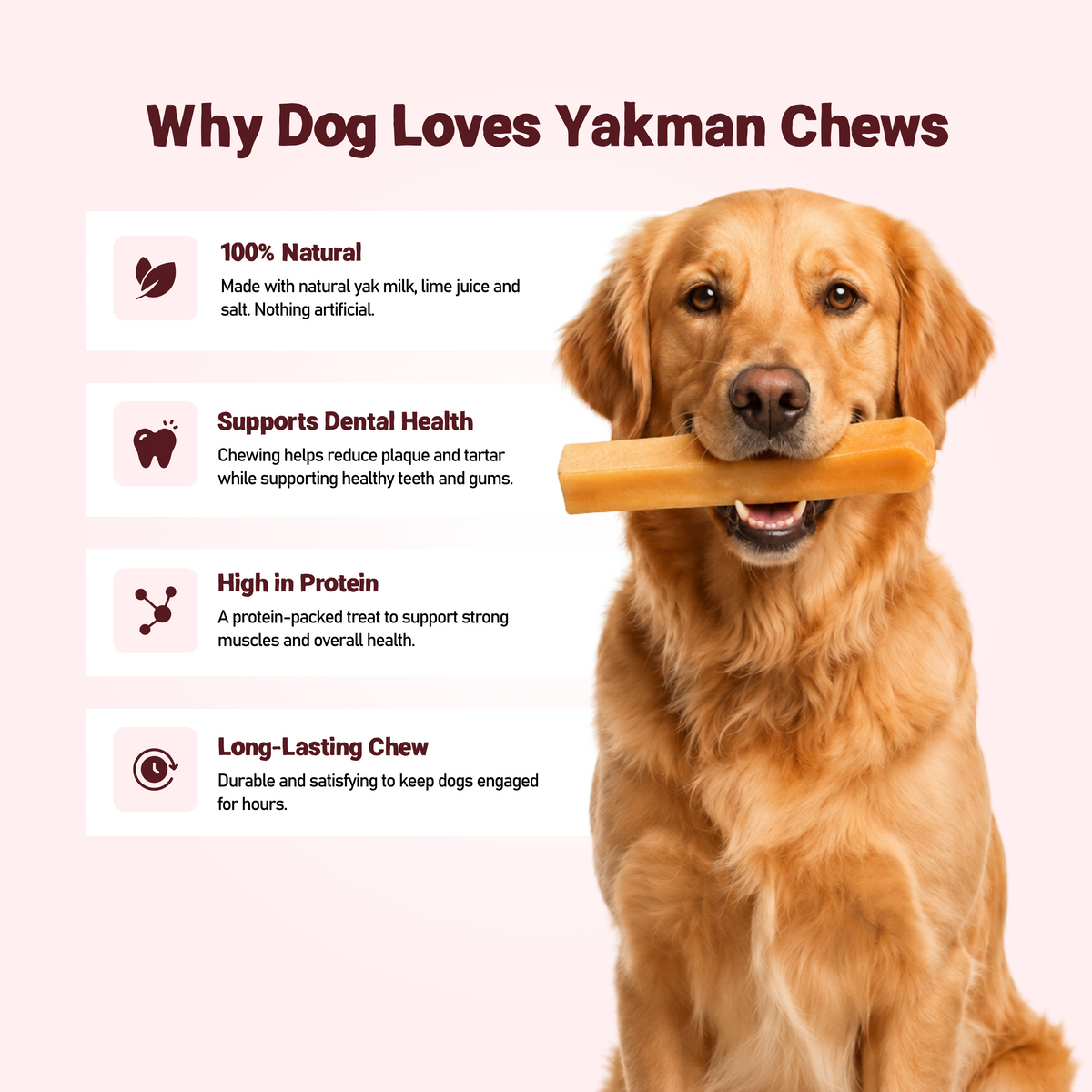 Yakmanchew - Himalayan Cheese Dog Chew