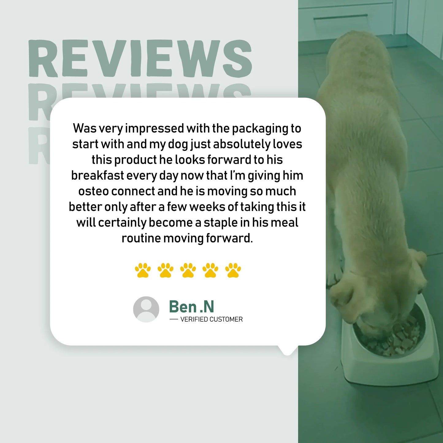 Dog eating from a bowl with a review overlay on a light green background