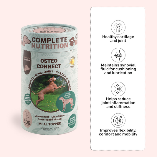 Osteo Connect - Green Lipped Mussel Joint Support for Dogs