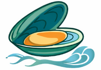 GREEN-LIPPED MUSSEL (PERNA CANALICULUS)