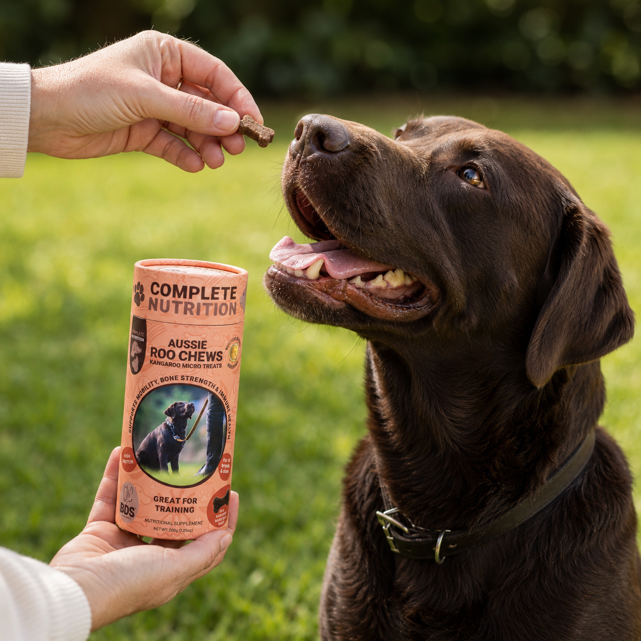 Training and Treats Bundle