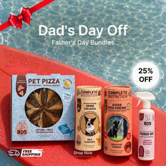 Dad's Day Off