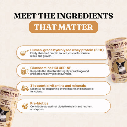 Premium Energy Enriched Drink for Dogs