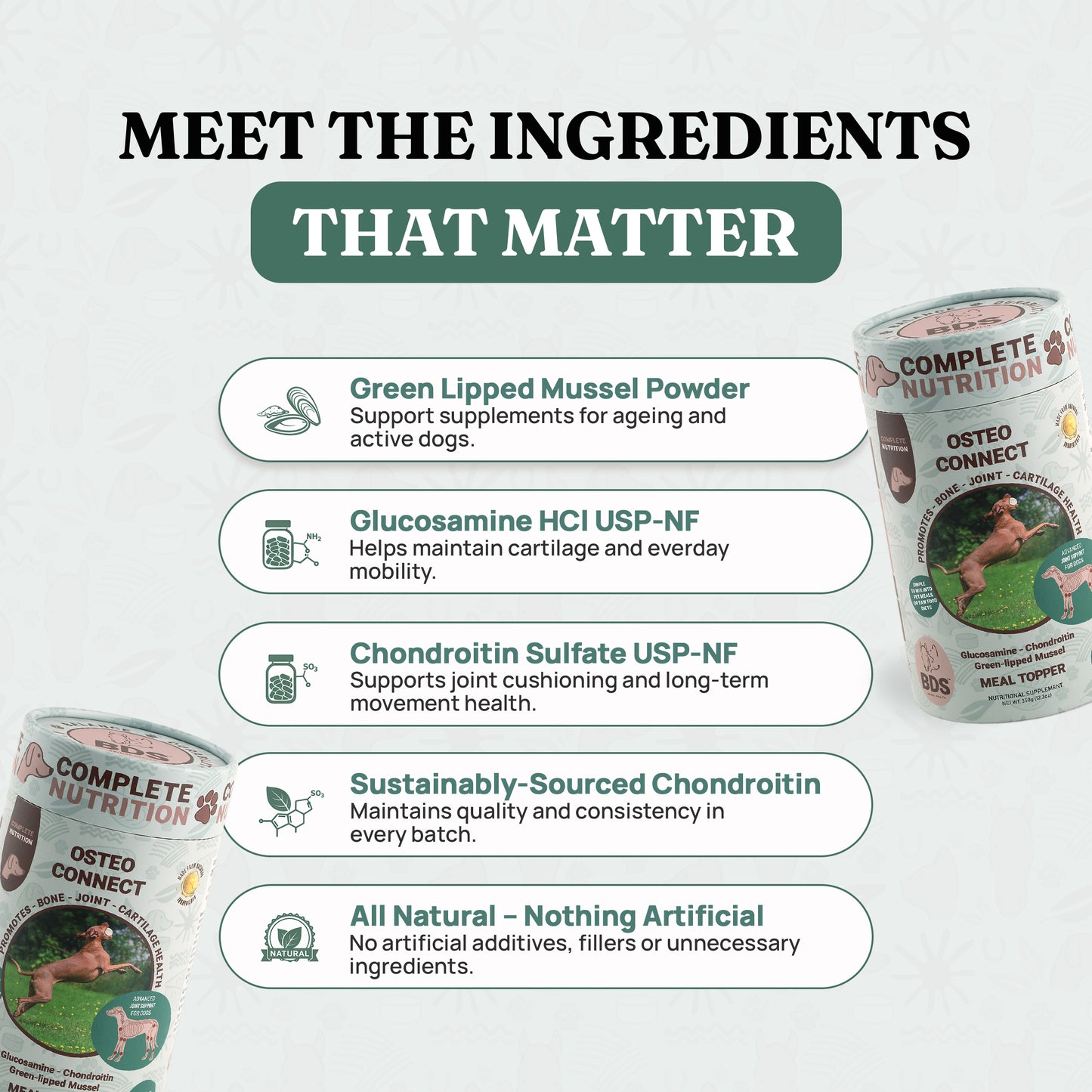 Osteo Connect - Green Lipped Mussel Joint Support for Dogs