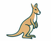 Australian kangaroo meal