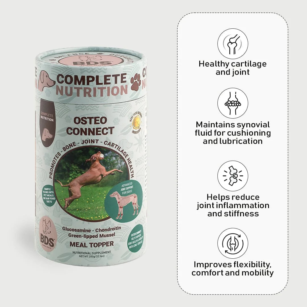 BDS Osteo Connect meal topper dog joint supplement glucosamine chondroitin green-lipped mussel cartilage health reduces inflammation mobility