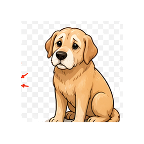 Reduced mobility in older dogs