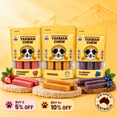 Yakmanchew - Himalayan Cheese Dog Chew